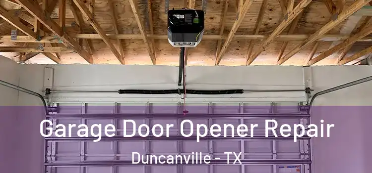 Garage Door Opener Repair Duncanville - TX