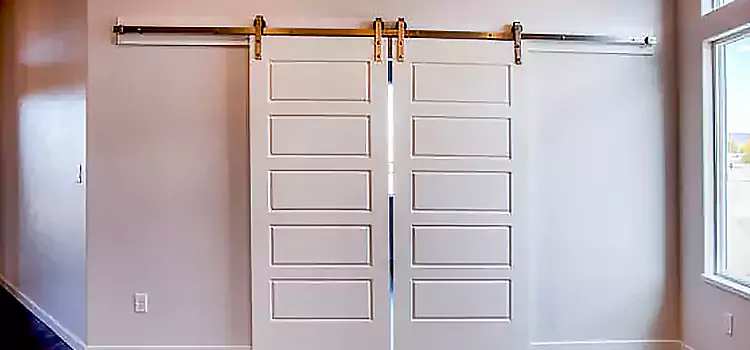 Glass Barn Door with Installation Hardware Kit Duncanville