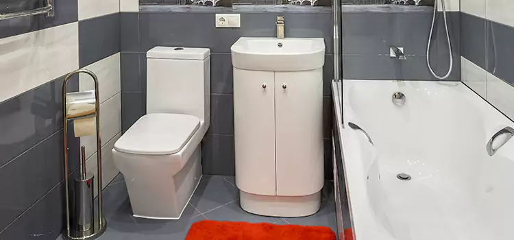 Hansgrohe Shaving Mirror Duncanville